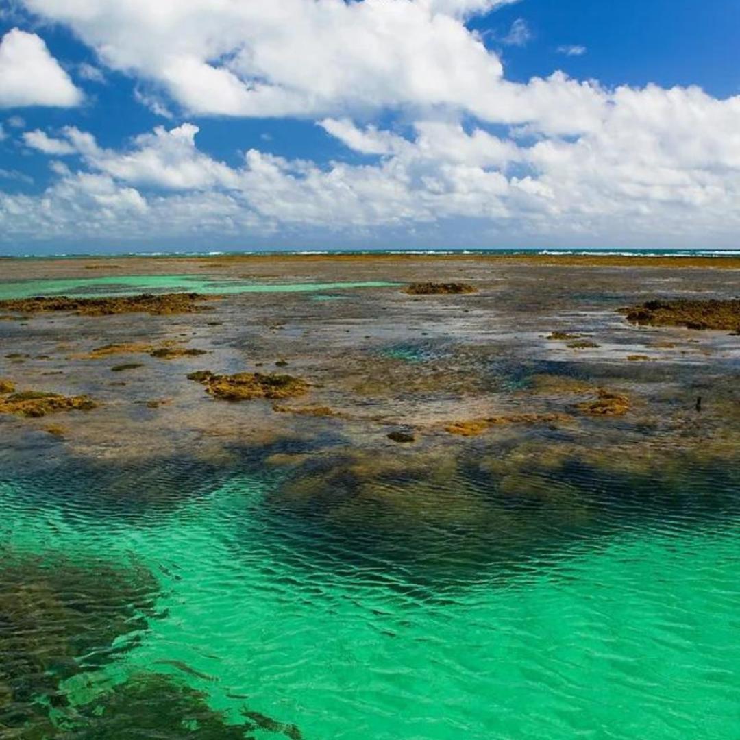Pousada Solar Da Praia Tamandaré エクステリア 写真